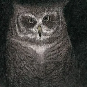 Pochette de フクロウの声が聞こえる de SEKAI NO OWARI