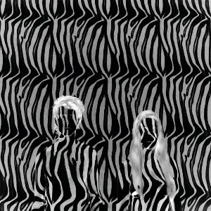 Pochette Zebra