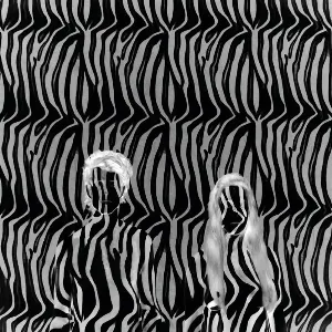 Pochette de Zebra de Beach House