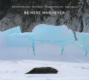Pochette de Be Here Whenever de Henry Kaiser
