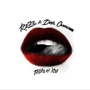Pochette de Taste of You de REZZ