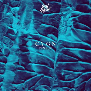 Pochette de It’s Luv de C Y G N