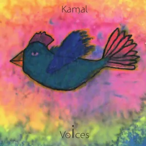 Pochette de Voices de Kamal