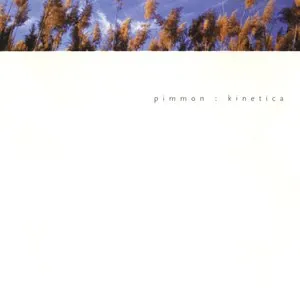 Pochette de Kinetica de Pimmon