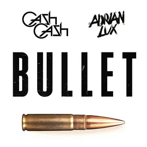 Pochette Bullet