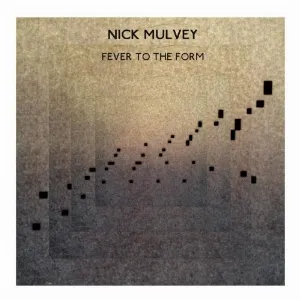 Pochette de Fever to the Form de Nick Mulvey
