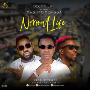Pochette de Normal Life de Decoo Jay