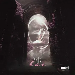 Pochette de BAE de Zedk