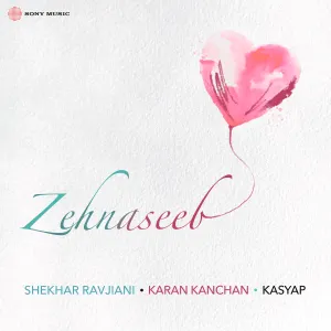 Pochette de Zehnaseeb de Shekhar Ravjiani