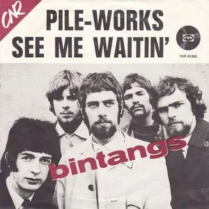 Pochette de Pile-Works / See Me Waitin' de Bintangs