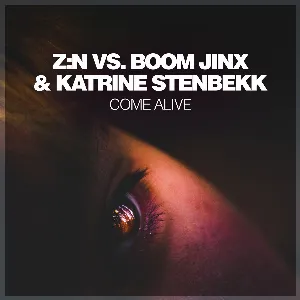 Pochette de Come Alive de Boom Jinx