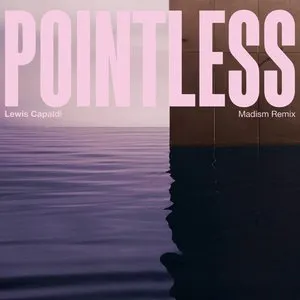 Pochette Pointless (Madism remix)