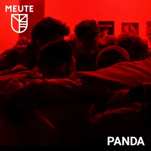 Pochette de Panda de MEUTE