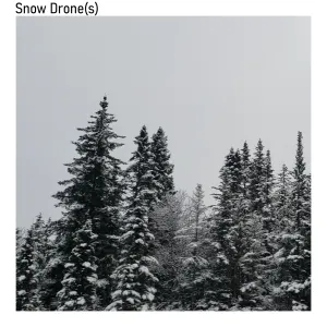 Pochette de Snow Drone(s) de Omnis