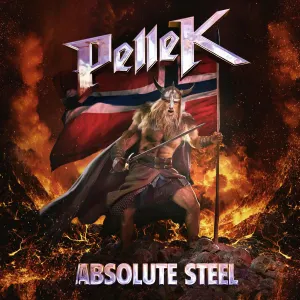 Pochette de Absolute Steel de PelleK