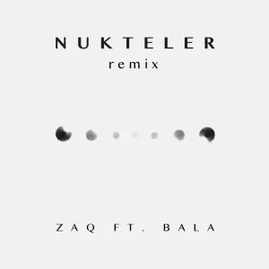 Pochette de Nukteler (remix) de ZaQ