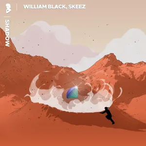 Pochette de Shadow de William Black