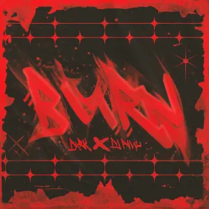 Pochette de BURN de DJ Paul