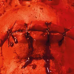 Pochette de Zunge de Till Lindemann