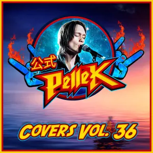 Pochette de Covers, Vol. 36 de PelleK