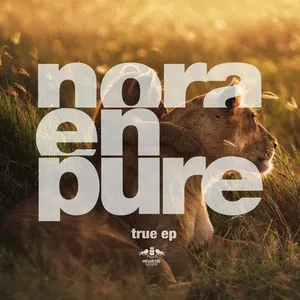 Pochette de True EP de Nora en Pure