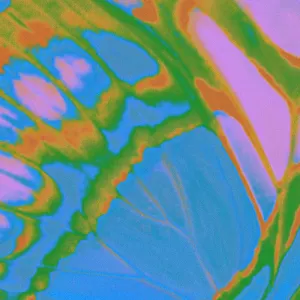 Pochette de MAD EP de Daoko