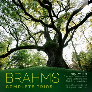 Pochette de Complete Trios de Johannes Brahms