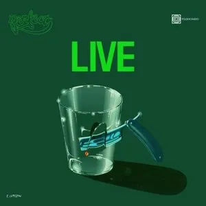 Pochette de Live de Perfect
