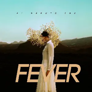 Pochette de Fever de Jazz Liberatorz