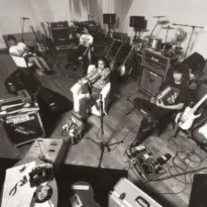 Pochette de ケダモノの嵐 de UNICORN