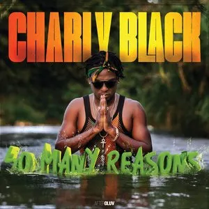 Pochette de So Many Reasons de Charly Black