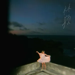 Pochette de Fridge de Linying