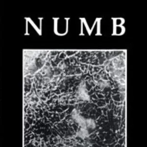 Pochette de Blue Light de Numb