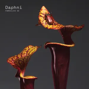 Pochette de FabricLive 93: Daphni de Daphni
