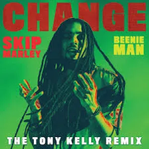 Pochette de Change de Skip Marley