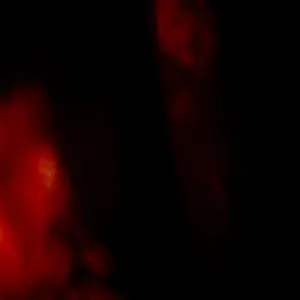 Pochette de Որպես ջուր de Cloistral