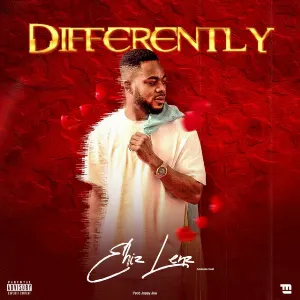 Pochette de Differently de Adekunle Gold - Jossy Joe