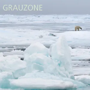 Pochette de Grauzone 1980-1982 Remastered de Grauzone
