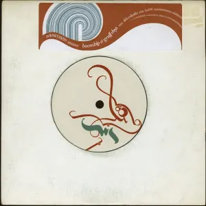 Pochette de Do's and Don'ts de Gruff Rhys