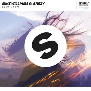 Pochette de Don’t Hurt de Mike Williams