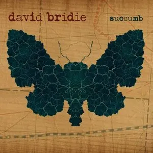 Pochette de Succumb de David Bridie