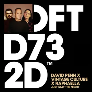Pochette de Just Stay the Night de Vintage Culture - David Penn - Raphaella