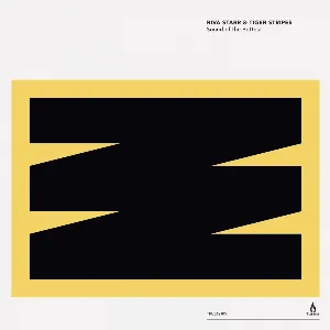 Pochette de Sound of the Bettest de Riva Starr