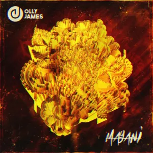 Pochette de Mayani de Olly James