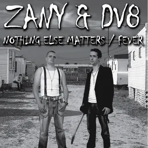 Pochette de Nothing Else Matters / Fever de DJ Zany