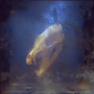 Pochette de Unleashed de Kayzo