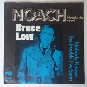 Pochette de Noach de Bruce Low