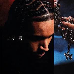 Pochette de L'AFRO OU LES TRESSES de Yvnnis