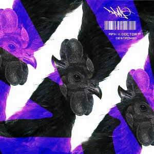 Pochette de Destroyed de Doctor P