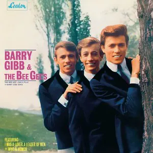 Pochette The Bee Gees Sing and Play 14 Barry Gibb Songs